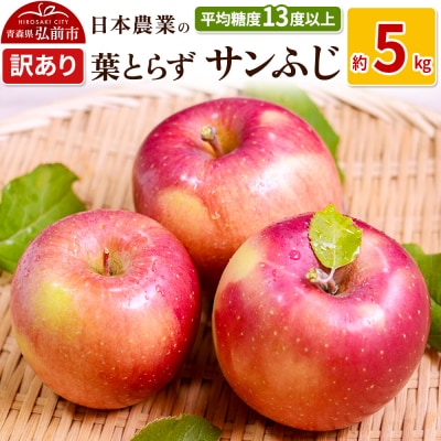 りんご  葉とらずサンふじ 約5kg 訳あり|24_nng-130501a