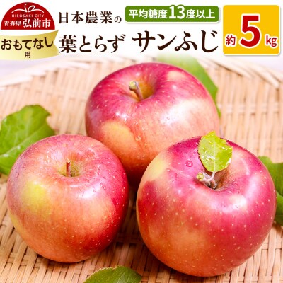 りんご  葉とらずサンふじ 約5kg おもてなし用|24_nng-130501b