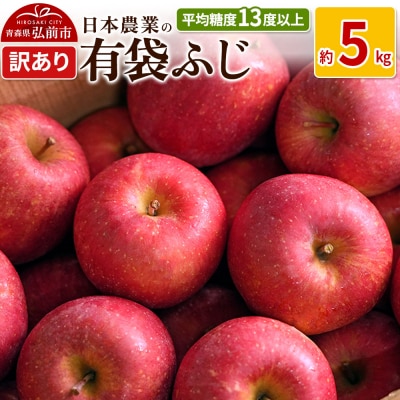 りんご  有袋ふじ 約5kg 訳あり|24_nng-490501a