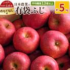りんご  有袋ふじ 約5kg おもてなし用|24_nng-490501b