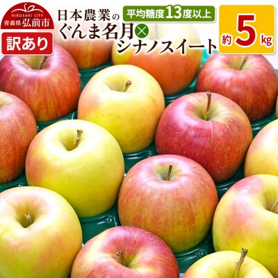 りんご  ぐんま名月×シナノスイート 約5kg 訳あり|24_nng-510501a