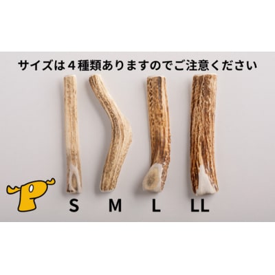 プレシカ　鹿の角　Sサイズ　(15センチ半割り1本)/006-42325-a01Z