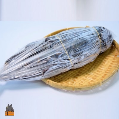 【地魚専門店 鮮魚 魚一さん直送】～徳之島獲れ!“大”伊勢海老(1匹)