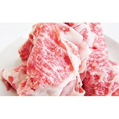 【訳あり】A4等級以上 飛騨牛 切り落とし 250g×4 計1kg