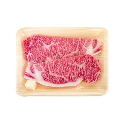 A4等級以上 飛騨牛サーロインステーキ用 300g (約150g×2枚)