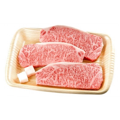 A4等級以上 飛騨牛サーロインステーキ用 500g (約167g×3枚)