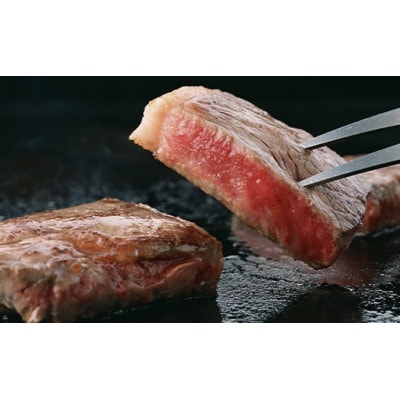 A4等級以上 飛騨牛サーロインステーキ用 680g (約170g×4枚)