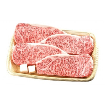 A4等級以上 飛騨牛サーロインステーキ用 680g (約170g×4枚)