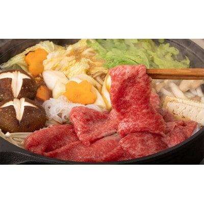 A4等級以上【飛騨牛】もも・かたスライス 900g(300g×3パック)