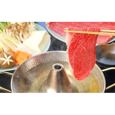 A4等級以上【飛騨牛】もも・かたスライス 900g(300g×3パック)