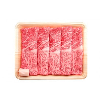 A4等級以上【飛騨牛】もも・かたスライス 1.2kg(300g×4パック)