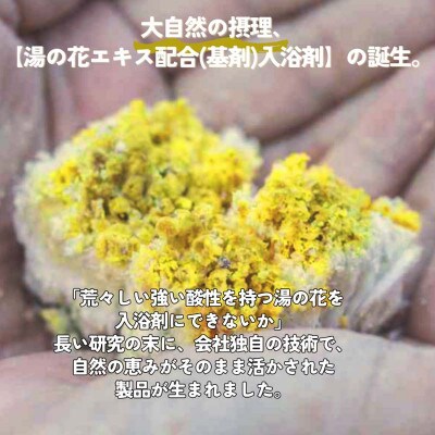【3ヵ月毎定期便】薬用入浴剤 【別府の湯】2200g 詰め替え用 別府温泉湯の花エキス配合全4回