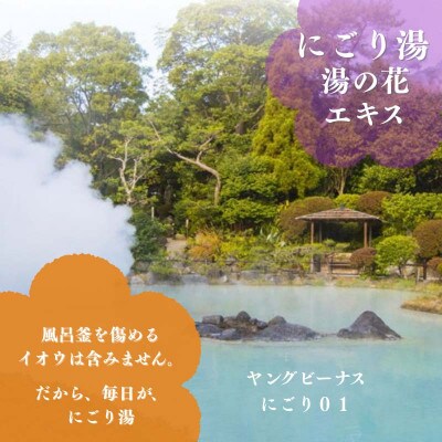 【毎月定期便】薬用入浴剤 【にごり湯】 900g 別府温泉湯の花エキス配合全6回
