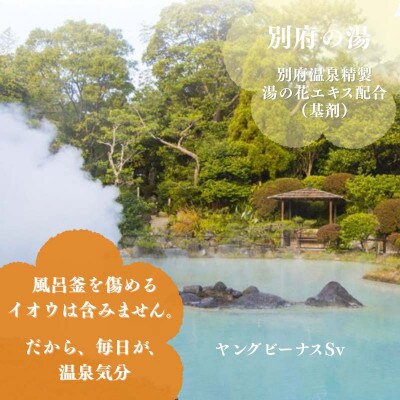 【2ヵ月毎定期便】薬用入浴剤 【別府の湯】容器・詰め替えセット全4回