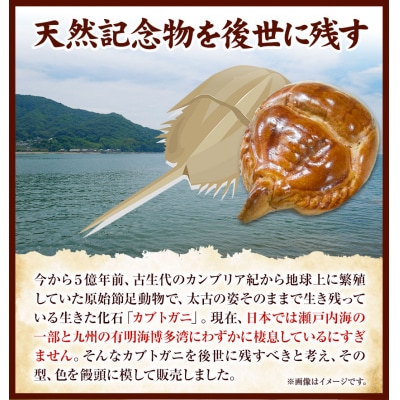 かぶとがにまんじゅう詰合せ　T-10