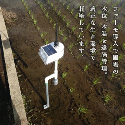 令和7年産 茨城県産 新米 ミルキークイーン 10kg 玄米 農家直送 [BG011ya]
