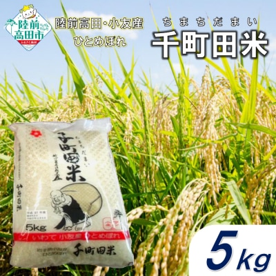【先行受付】 令和7年産 新米 布袋様パッケージのひとめぼれ 5kg 千町田米(ちまちだまい)