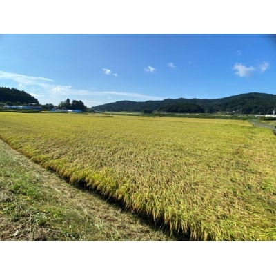 【先行受付】 令和7年産 新米 布袋様パッケージのひとめぼれ 5kg 千町田米(ちまちだまい)