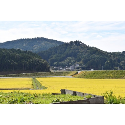 【先行受付】 令和7年産 新米 布袋様パッケージのひとめぼれ 10kg 千町田米(ちまちだまい)