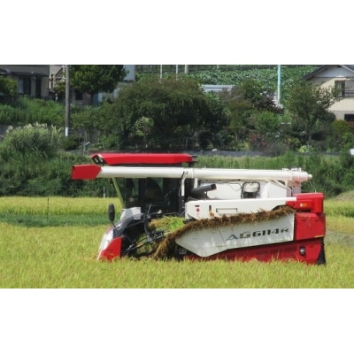 【先行受付】 令和7年産 新米 布袋様パッケージのひとめぼれ 10kg 千町田米(ちまちだまい)