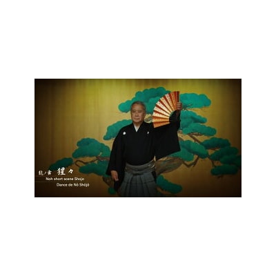 「気体運動」DVD(登録商標)