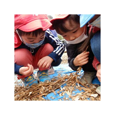 津久井在来大豆のふく豆ざんまいセット