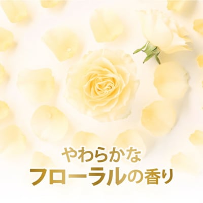 ダヴ ボディウォッシュ プレミアム モイスチャーケア つめかえ用 330g×18