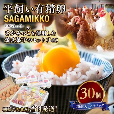 平飼い有精卵さがみっこ30個 と さがみっこを使用した焼き菓子のセット(L箱)　※離島への配送不可