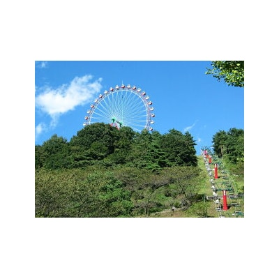 【相模湖東ICより約7分】さがみ湖MORI MORI<ペア>入園券