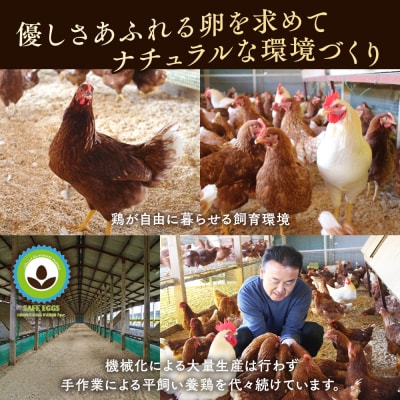 【8ヶ月定期便】平飼い有精卵さがみっこ 30個(10個×3パック)×8ヶ月　※離島への配送不可