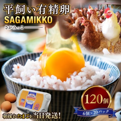 《かながわブランド認定》平飼い有精卵さがみっこ 6個入り×20P 計120個　※離島への配送不可