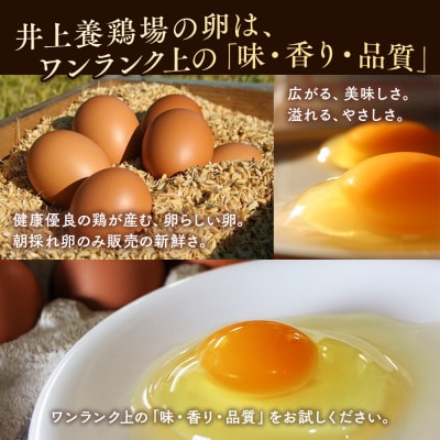 のびのび養鶏有精卵かながわブランド認定平飼い有精卵さがみっこ 6個入り×20P 計120個