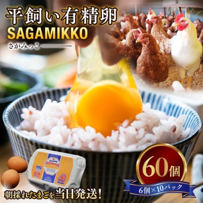 《かながわブランド認定》平飼い有精卵さがみっこ 6個入り×10P 計60個　※離島への配送不可