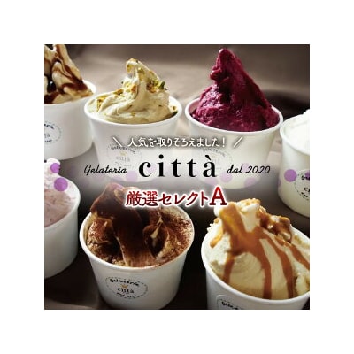 チッタジェラート”厳選セレクトA” 12個 | ミルク 濃厚 人気 アイス カップ デザート おやつ