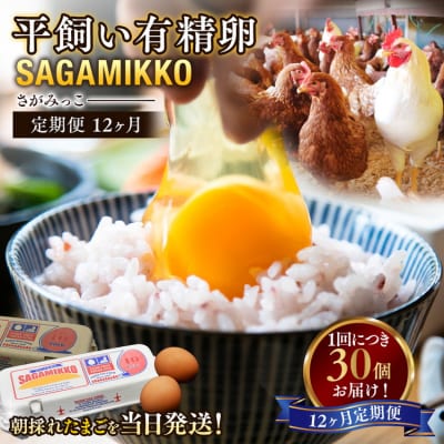 【12ヶ月定期便】平飼い有精卵 さがみっこ 30個(10個×3パック)×12ヶ月　※離島への配送不可