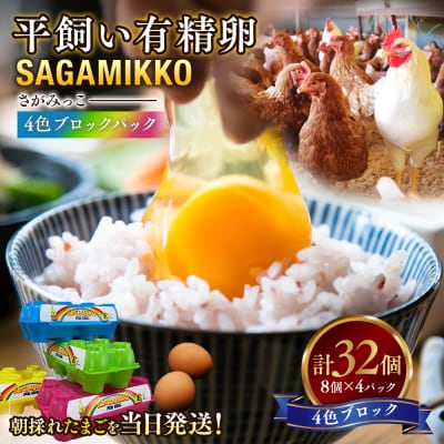 《かながわブランド認定》平飼い有精卵さがみっこ 8個入り×4パック 計32個 【4色ブロックパック】