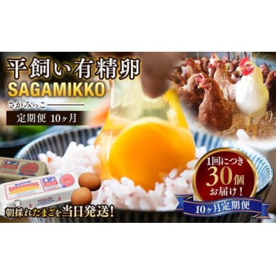 【10ヶ月定期便】かながわブランド認定 平飼い有精卵さがみっこ 30個(10個×3パック)×10ヶ月