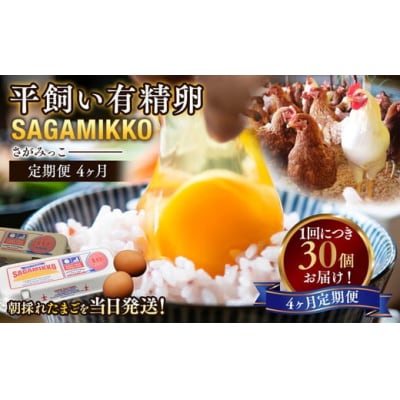 【4ヶ月定期便】かながわブランド認定  平飼い有精卵さがみっこ 30個(10個×3パック)×4ヶ月