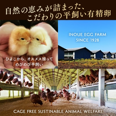 【4ヶ月定期便】かながわブランド認定  平飼い有精卵さがみっこ 30個(10個×3パック)×4ヶ月