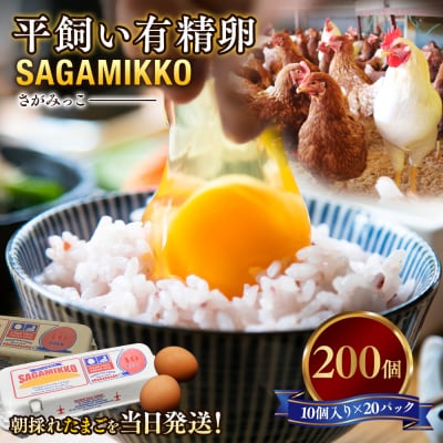 井上さん家 平飼い有精卵さがみっこ《かながわブランド認定》10個入り×20パック 計200個