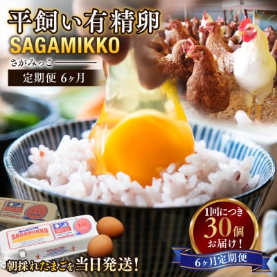 【6ヶ月定期便】平飼い有精卵 さがみっこ 30個(10個×3パック)×6ヶ月　※離島への配送不可
