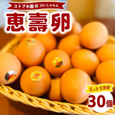 【定期便6ヶ月】当社自慢の卵 恵壽卵 30個入り | 卵 たまご タマゴ けいじゅらん 鶏卵 玉子