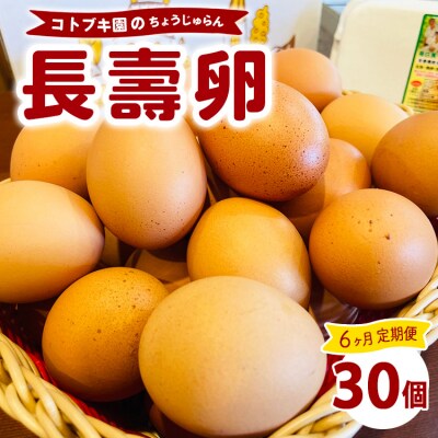 【定期便6ヶ月】当社自慢の卵 長壽卵 30個入り | 卵 たまご タマゴ ちょうじゅらん 鶏卵 玉子