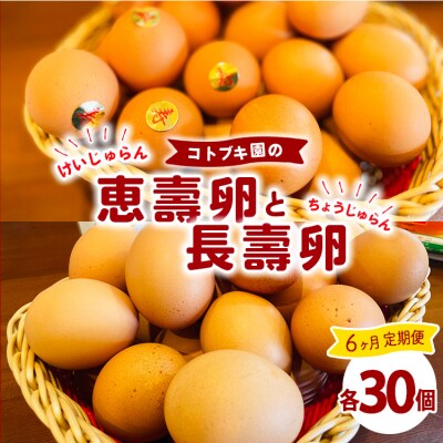 【定期便6ヶ月】当社自慢の卵 長壽卵 30個入り&恵壽卵 30個入り | 卵 たまご タマゴ