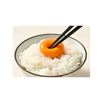【4ヶ月定期便】料理人も「うまい!」と絶賛 昔の味たまご 20個入り(18個+割れ補償2個)×4か月