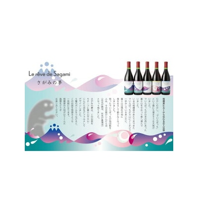 さがみの夢ワイン　飲みくらべ2本セット(「レギュラー」、「オン　ザ　ロック」各1本)