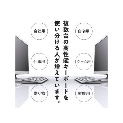 HHKB Professional HYBRID Type-S 英語配列/墨(無刻印キートップ付)