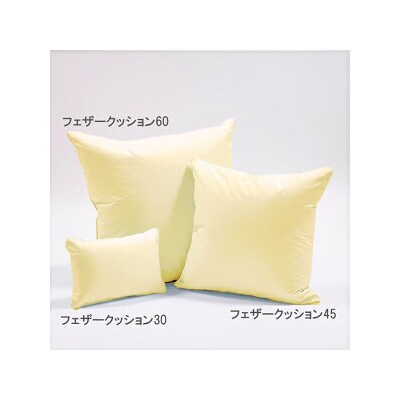 やさしくしっかり体を支える!羽毛たっぷり　フェザークッション60(60cm角)