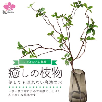 倒しても溢れない魔法の水「癒しの枝物」