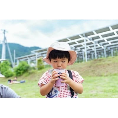 3名様用 さがみこベリーガーデンのブルーベリー食べホーダイ体験チケット!! 